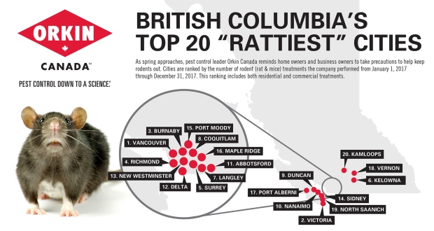 Rattiest cities in B.C.