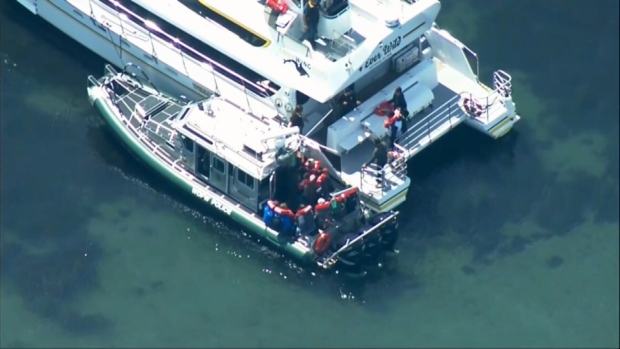 Whale watching boat