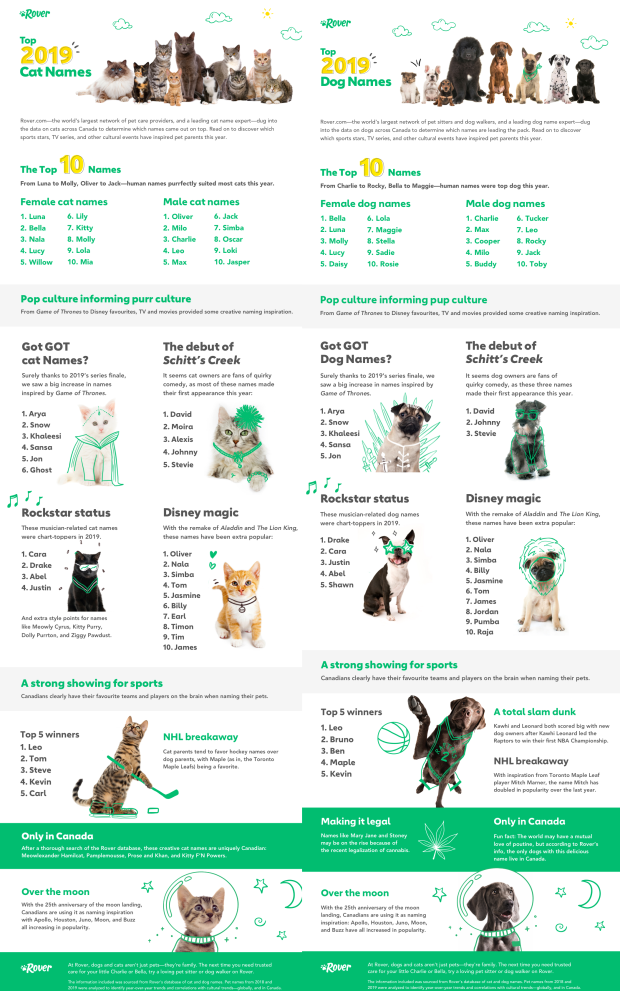 Cat and dog names