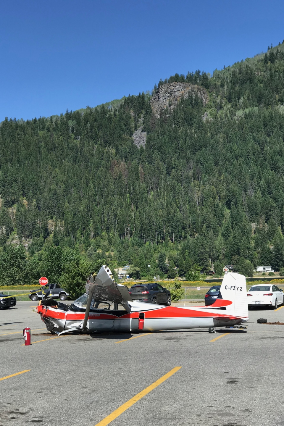 Plane crashes in Nelson