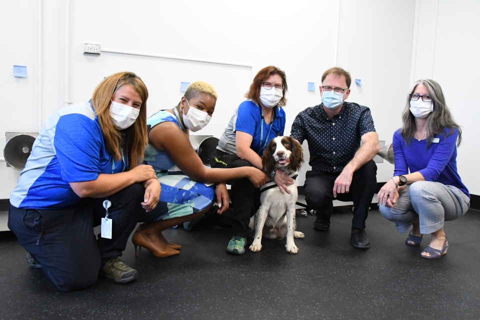 COVID-19 news: A Vancouver-based dog team is able to sniff out infections